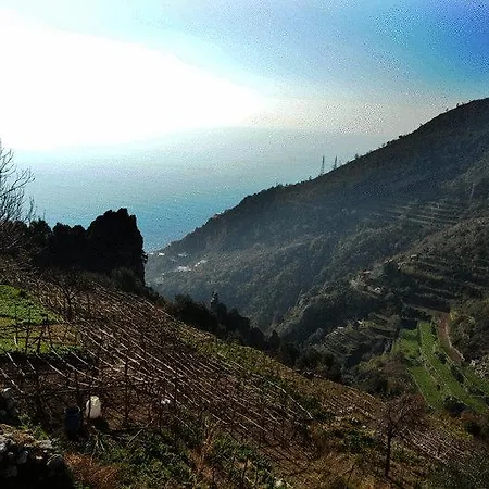 Agriturismo Serafina Farm stay *